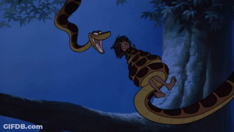 Kaa About To Eat Anaconda Snake GIF