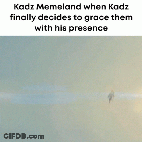 Kadz Memeland Kadz Finally Graces Them With Blurry Picture GIF