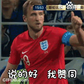 凯恩 英格兰队 三狮军团 说得好 赞同 世界杯 足球 GIF