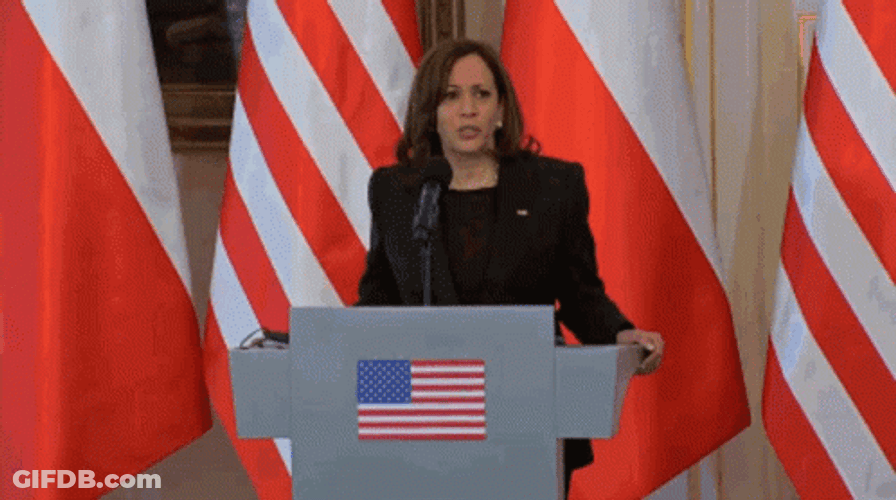 Kamala Harris I Don't Know GIF