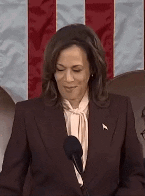 Kamala Harris Smile GIF