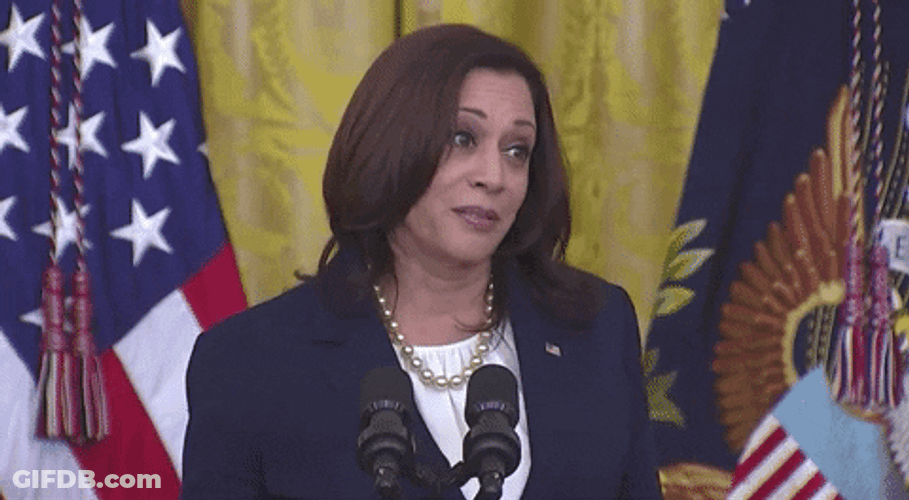 Kamala Harris Talks About Juneteenth GIF