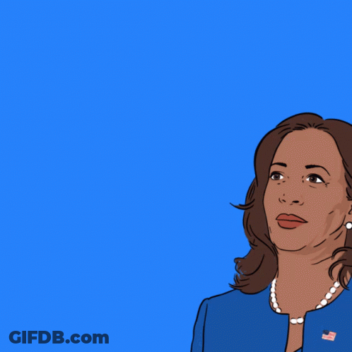 Kamala Harris Unafraid Experienced Collected GIF