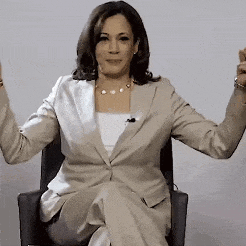 Kamala Harris Vice President GIF