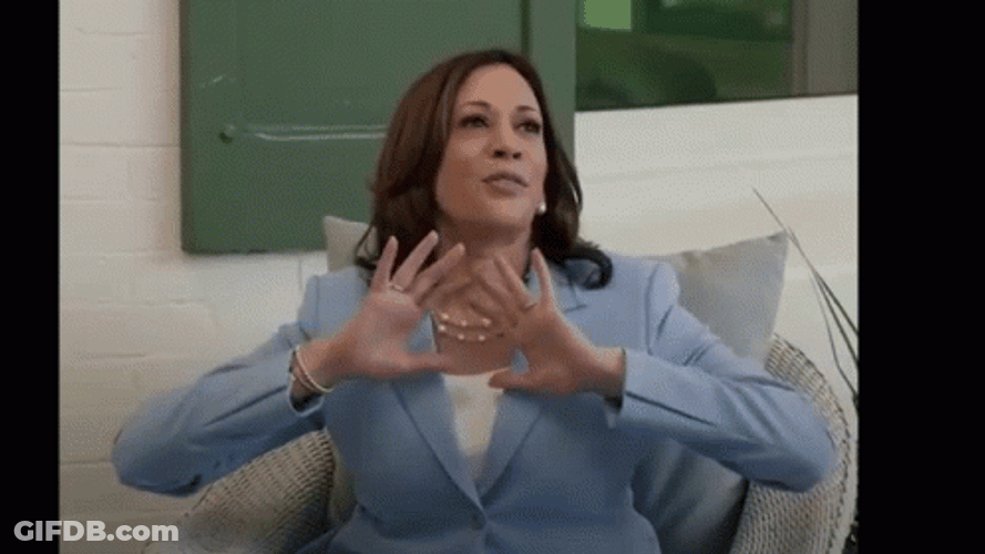 Kamala Harris Wonderful Gesture GIF