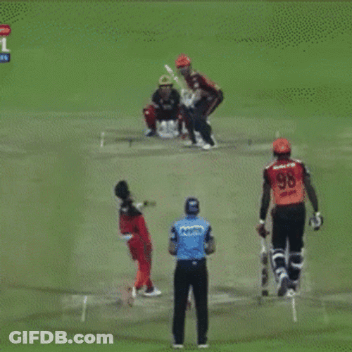 Kane Williamson Cricket Ball Hit GIF
