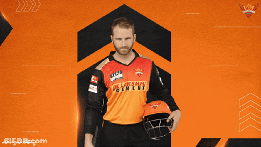 Kane Williamson Cricket Bat Pointing GIF