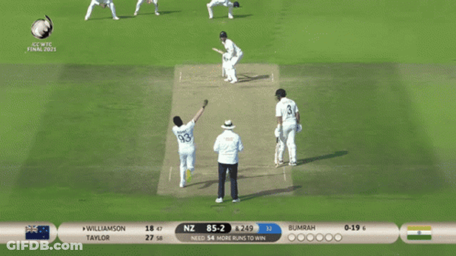 Kane Williamson Cricket Gameplay GIF