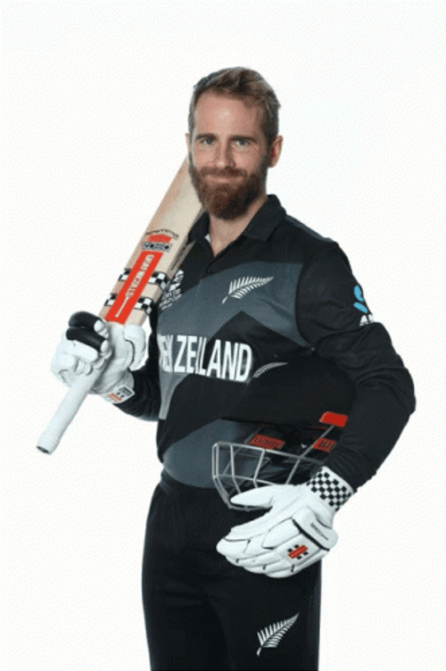 Kane Williamson Cricket Photoshoot GIF