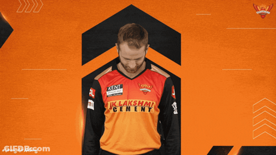 Kane Williamson Cricket Thumbs Up GIF