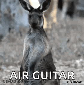 Kangaroo Carrying Baby Kangaroo And Penguin Holding Baby Penguin GIF