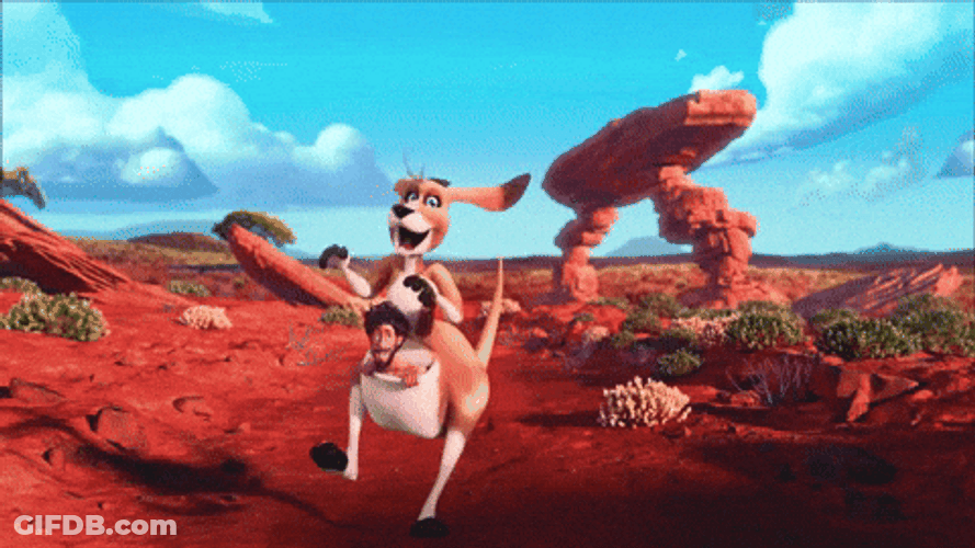 Kangaroo Coming In Hot GIF