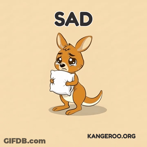 Kangaroo Crying Holding White Pillow Sad GIF