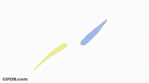 Kangaroo Got Bud GIF