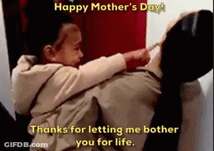 Kangaroo Holding Baby Kangaroo Hoppy Mother's Day GIF
