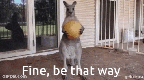 Kangaroo Holding Ball Fine Be That Way GIF