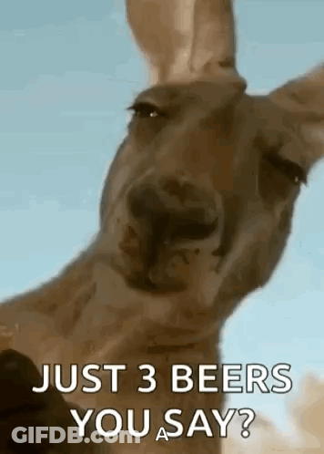 Kangaroo Just 3 Beers You Say GIF