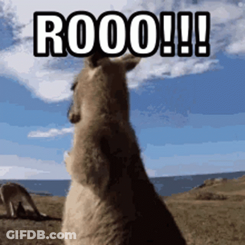 Kangaroo On Hind Legs Saying Rooo GIF