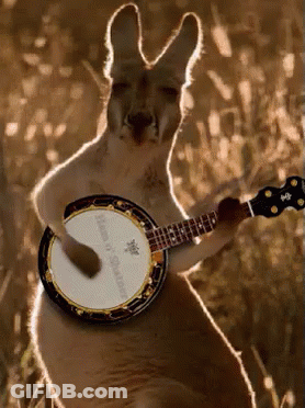 Kangaroo Playing Banjo Saying King Of Clubs GIF
