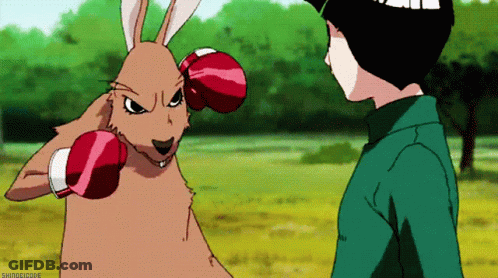 Kangaroo Punched By Boy In Red Boxing Gloves GIF