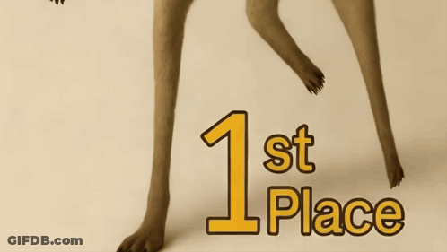 Kangaroo Saying 1St Place GIF