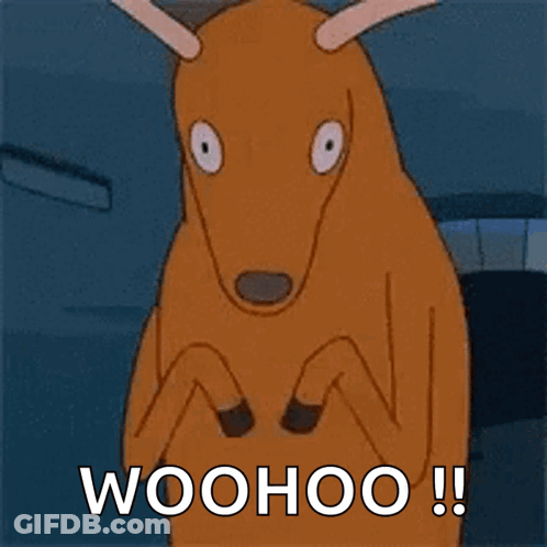 Kangaroo Saying Woohoo GIF
