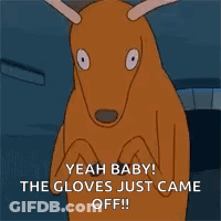 Kangaroo Saying Yeah Baby The Gloves Just Came Off GIF