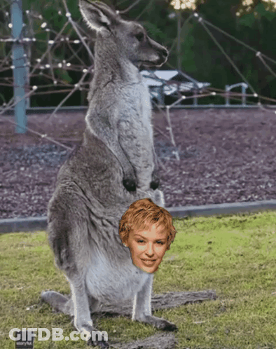 Kangaroo With Woman's Head In Pouch GIF