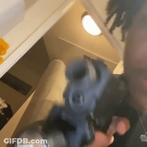 Kankan Gun Playing GIF