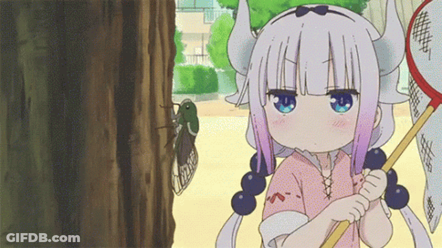 Kanna Kamui Catching Flies GIF