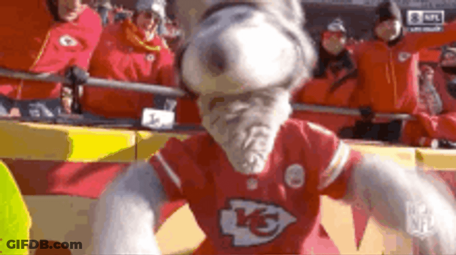 Kansas City Chiefs Dog Mascot GIF