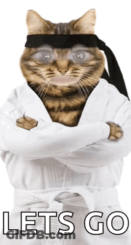 Karate Cat Saying Let's Go GIF