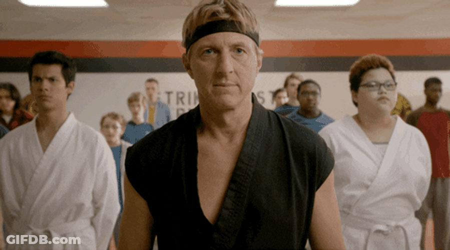 Karate Cobra Kai GIF