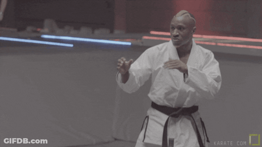 Karate Combat Sport GIF