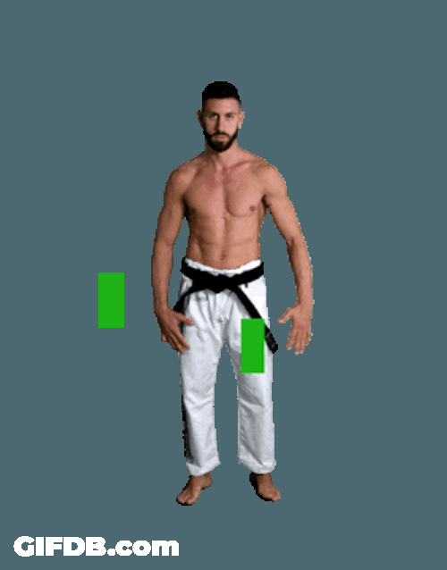 Karate Gabriele Cera Bow GIF