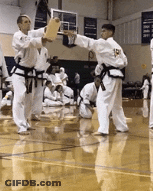 Karate Kick Wood Board GIF