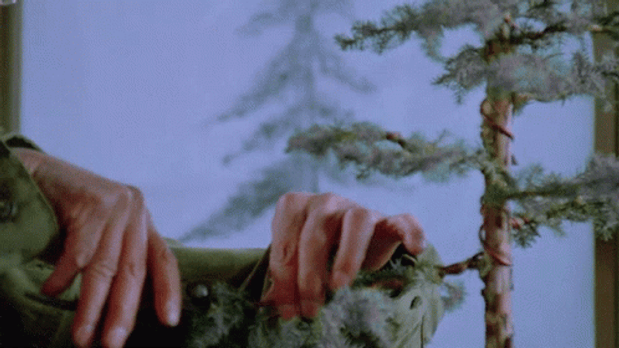 Karate Kid Miyagi Bonsai Tree Care GIF