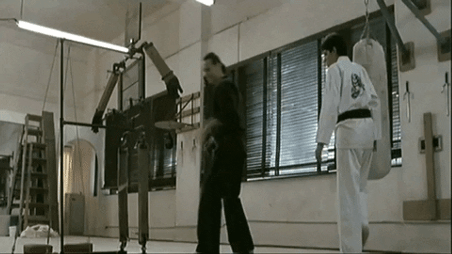 Karate Kid Practice GIF