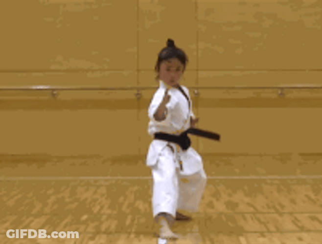 Karate Kung Fu Kid GIF