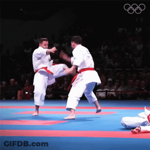 Karate Martial Art GIF
