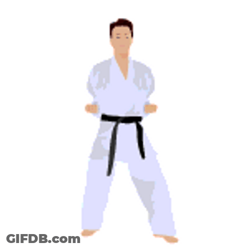 Karate Martial Arts GIF