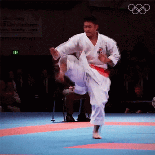 Karate Palm Strike GIF