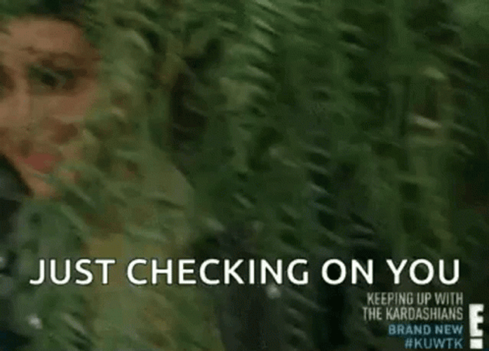 Kardashians Just Checking In You GIF