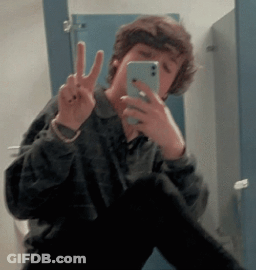 Karl Jacobs Bisexual Peace GIF
