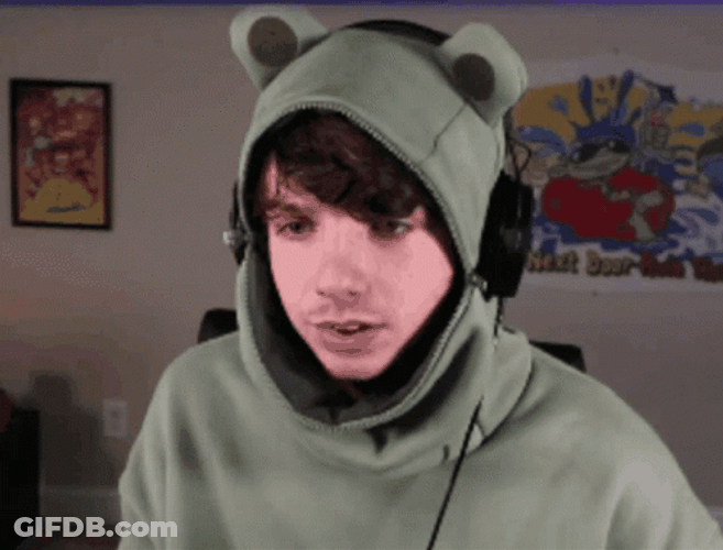 Karl Jacobs Frog Hoodie GIF