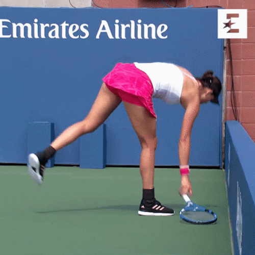 Karolina Muchova Vs Venus Williams Pickleball Meme GIF
