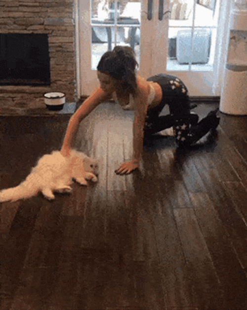 Kate Beckinsale And Her Fluffy Cat GIF