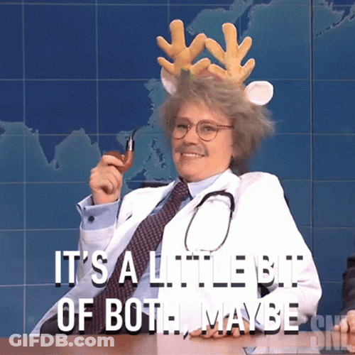 Kate McKinnon Both Maybe SNL GIF