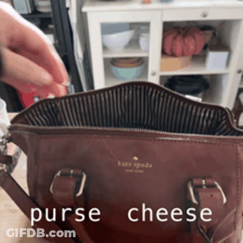 Kate Spade Brown Purse With Purse Cheese GIF