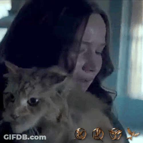 Katniss Everdeen Hugging A Cat GIF